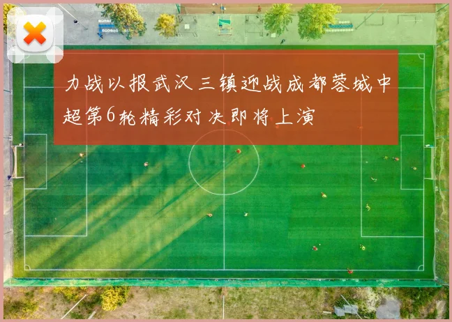 力战以报武汉三镇迎战成都蓉城中超第6轮精彩对决即将上演